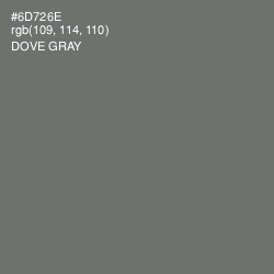 #6D726E - Dove Gray Color Image