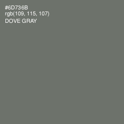 #6D736B - Dove Gray Color Image