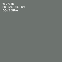 #6D736E - Dove Gray Color Image