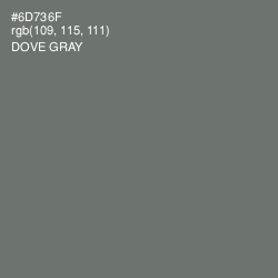 #6D736F - Dove Gray Color Image