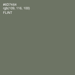 #6D7464 - Flint Color Image