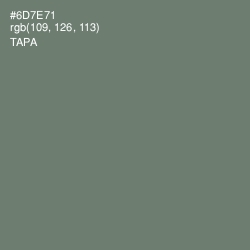 #6D7E71 - Tapa Color Image