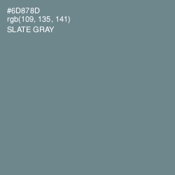 #6D878D - Slate Gray Color Image