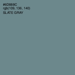 #6D888C - Slate Gray Color Image