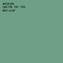 #6DA085 - Bay Leaf Color Image