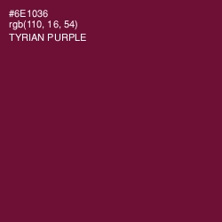 #6E1036 - Tyrian Purple Color Image