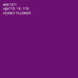 #6E1071 - Honey Flower Color Image