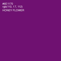 #6E1170 - Honey Flower Color Image