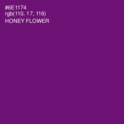 #6E1174 - Honey Flower Color Image