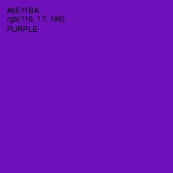 #6E11BA - Purple Color Image