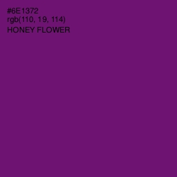 #6E1372 - Honey Flower Color Image