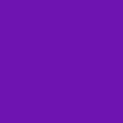 #6E14B0 - Purple Color Image