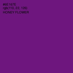 #6E167E - Honey Flower Color Image