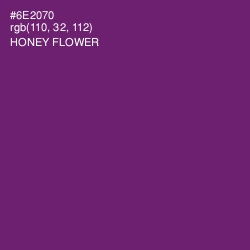 #6E2070 - Honey Flower Color Image