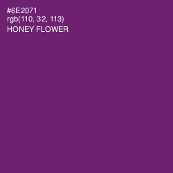 #6E2071 - Honey Flower Color Image