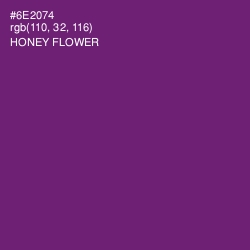 #6E2074 - Honey Flower Color Image