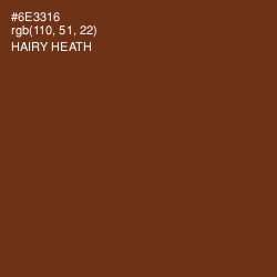 #6E3316 - Hairy Heath Color Image