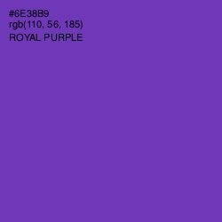 #6E38B9 - Royal Purple Color Image