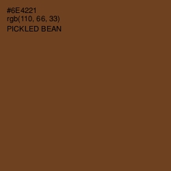 #6E4221 - Pickled Bean Color Image