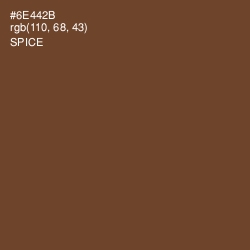 #6E442B - Spice Color Image