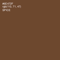 #6E472F - Spice Color Image