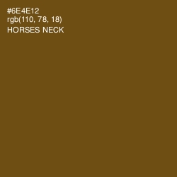 #6E4E12 - Horses Neck Color Image