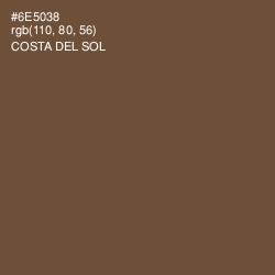 #6E5038 - Costa Del Sol Color Image