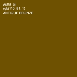 #6E5101 - Antique Bronze Color Image