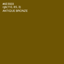 #6E5503 - Antique Bronze Color Image