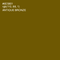 #6E5801 - Antique Bronze Color Image