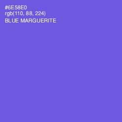 #6E58E0 - Blue Marguerite Color Image