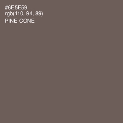#6E5E59 - Pine Cone Color Image