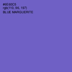 #6E60C5 - Blue Marguerite Color Image