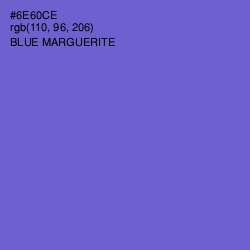 #6E60CE - Blue Marguerite Color Image