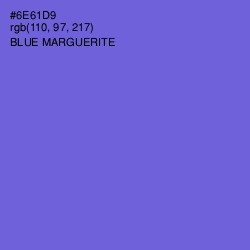 #6E61D9 - Blue Marguerite Color Image