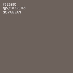 #6E625C - Soya Bean Color Image