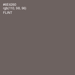 #6E6260 - Flint Color Image