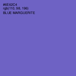 #6E62C4 - Blue Marguerite Color Image