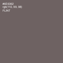 #6E6362 - Flint Color Image
