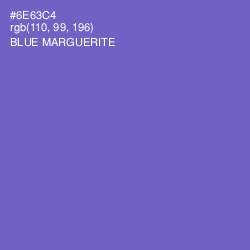 #6E63C4 - Blue Marguerite Color Image