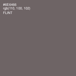 #6E6466 - Flint Color Image