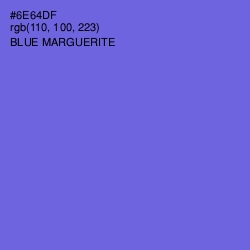 #6E64DF - Blue Marguerite Color Image