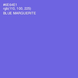 #6E64E1 - Blue Marguerite Color Image