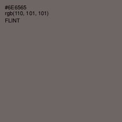 #6E6565 - Flint Color Image