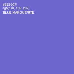 #6E66CF - Blue Marguerite Color Image