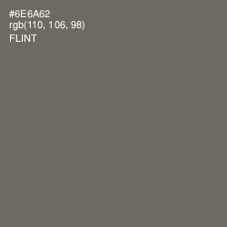 #6E6A62 - Flint Color Image