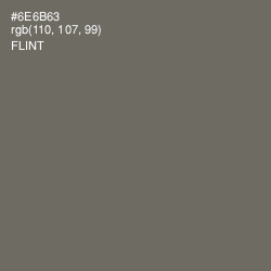 #6E6B63 - Flint Color Image
