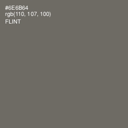#6E6B64 - Flint Color Image