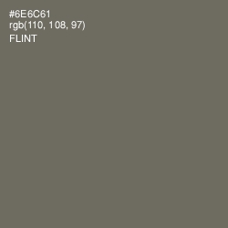 #6E6C61 - Flint Color Image