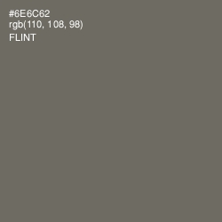 #6E6C62 - Flint Color Image